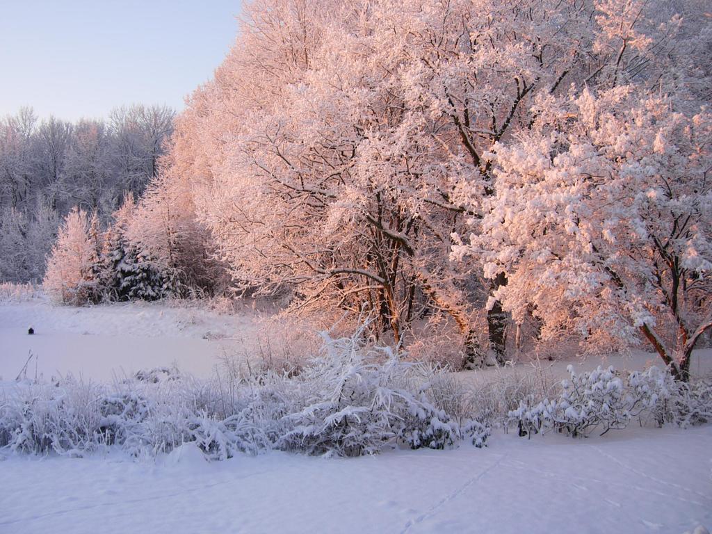 Heddahgaarden Bed and Breakfast Bredal Buitenkant foto